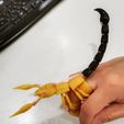 210835522_10159212752943905_2328625618208036542_n.jpg Free STL file articulated finger scorpion・Template to download and 3D print