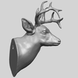 11_TDA0615_Deer_HeadA06.png Hirschkopf