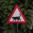 WhatsApp-Image-2022-12-14-at-21.57.36.jpeg Traffic signal caution cats crossing ( Traffic signal caution cats crossing )