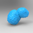 untitled.250.png トレーニングトリュフ