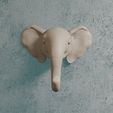3colg elefant.jpg Elephant hanger