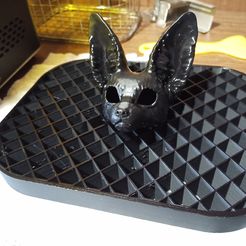 Bg0llhH2HZo.jpg Free STL file Mesh plate for drying Resin prints・3D print design to download