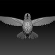a2.jpg hummingbird