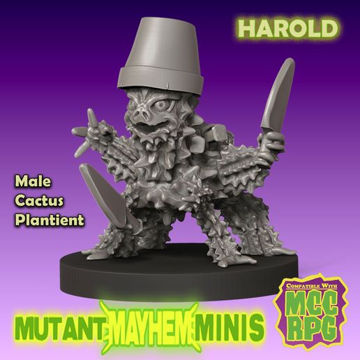 Harold, Stabby Cactus Plantient