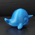 Cod1154-Narwhal-10.jpeg Narwal