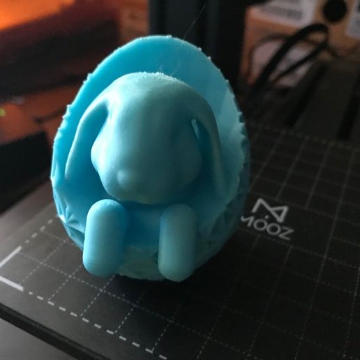 IMG_2797[1.JPG Archivo STL gratis Cute Rabbit in a Geometric Egg!・Objeto de impresión 3D para descargar, MakerMathieu