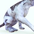 I.jpg CAT - DOWNLOAD CAT 3d model - animated for blender-fbx-unity-maya-unreal-c4d-3ds max - 3D printing CAT CAT - POKÉMON - FELINE - LION - TIGER