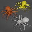 spider-didactica.jpg Realistic spider