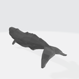 Whale_R.png Whale low poly