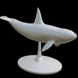 Capture-d’écran-2023-07-06-à-12.28.03.png whale