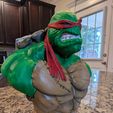 Buste TMNT (fan art)