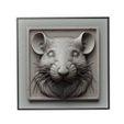 a_161.jpg Rat Animal Relief