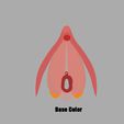 clitoris_Base_Color.jpg 3D file Clitoris Anatomy - Resting Clitoris・3D print design to download