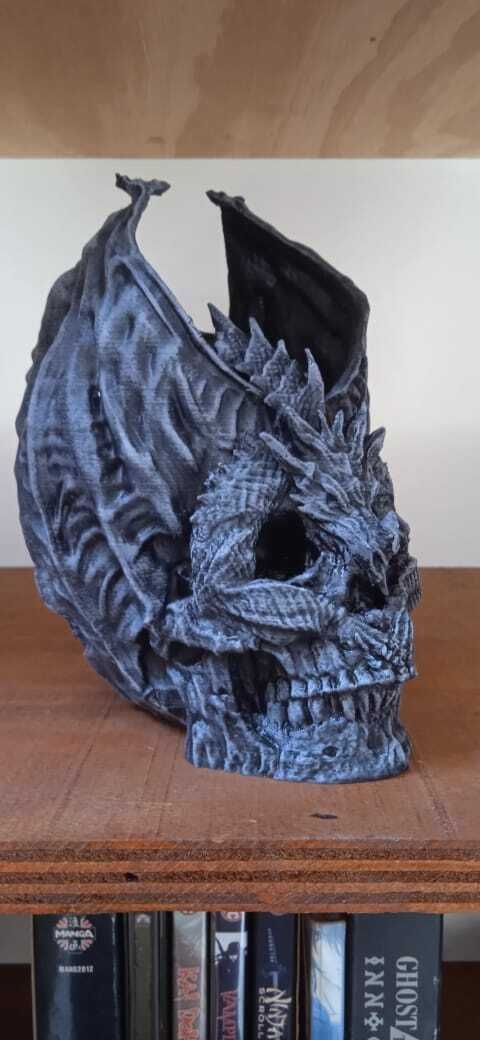 IMG-20210224-WA0005.jpg Télécharger le fichier STL Ornement de roche en forme de crâne de dragon • Objet à imprimer en 3D, o4saken