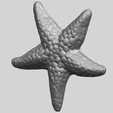 12_TDA0608_Starfish_02A02.png Download free file Starfish 02 • Template to 3D print, GeorgesNikkei