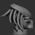 ZBrush ScreenGrab01.jpg Predator