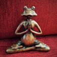 IMG_20170510_185915.jpg STL file Meditating frog・Model to download and 3D print