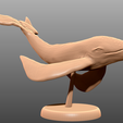 F1.png Sky Whale - Tabletop Miniature