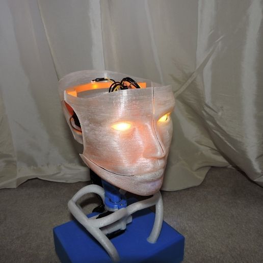 DSCN2585_display_large.JPG Animated Humanoid Robot Head