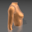 11.png STL file Bust 01・3D printer model to download