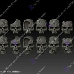 1-copy.jpg Human Skulls Set.