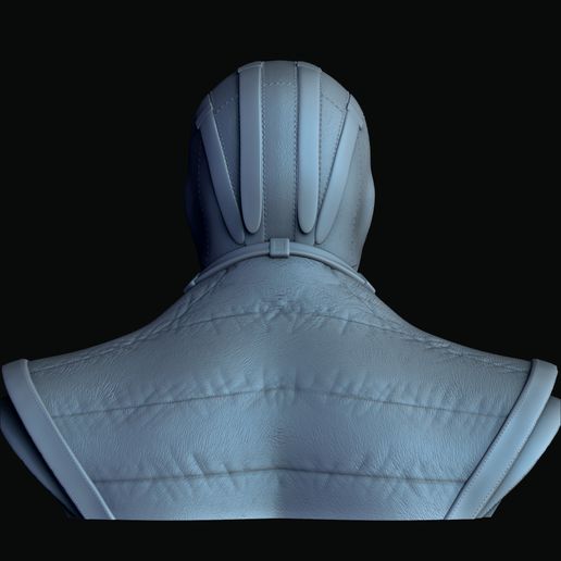 BPR_Composite3.jpg Sub-Zero Bust