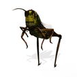 ug.jpg DOWNLOAD Grasshopper 3D MODEL - ANIMATED - INSECT Raptor Linheraptor MICRO BEE FLYING - POKÉMON - DRAGON - Grasshopper - OBJ - FBX - 3D PRINTING - 3D PROJECT - GAME READY-3DSMAX-C4D-MAYA-BLENDER-UNITY-UNREAL - DINOSAUR -
