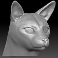 4.jpg Siamese Cat head for 3D printing