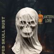 draped_skull_bust.jpg Draped Skull Bust (Pre Supported)
