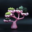 IMG_8776.jpg Modern Bonsai Flowerpot