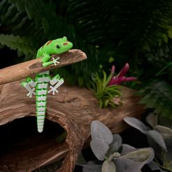 Cover-1.jpg STL file Articulated Lizard - Print-In-Place Articulated Day Gecko・3D printable model to download
