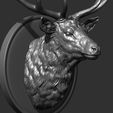 20.jpg Deer head