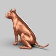 00.4.jpg American Pitbull Pose 02