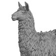 3D-Print-Ready-Llama-03.jpg Llama Animal 3D Print Model