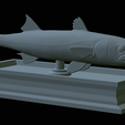 Barracuda-mouth-statue-30.png fish great barracuda / Sphyraena barracuda open mouth statue detailed texture for 3d printing