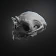 0008.png Articulated Troll Skull - Sciptemus Brutus - Halloween