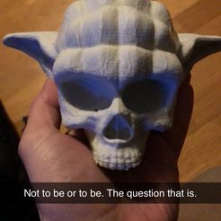 Yoda skull, keaphoto79