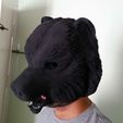 20220909_145606.jpg Bear head mask costume