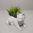 IMG_20220503_143727175.jpg Low Poly Cat Vase/Planter