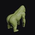 gorilla_0007.jpg Gorilla