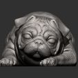 pug-for-3d-printing-3d-model-fdf4cd379d.jpg pug is sleeping 3D print model
