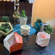 117944724_177044140736302_4701700851327102471_n.jpg STL file Geometrical pot mould・3D print model to download