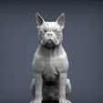 boston-terrier4.jpg boston terrier 3D print model