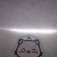 20240421_153215.jpg Cat Keychain