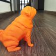 photo1681589489.jpeg Pug dog sculpt