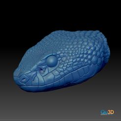 STL-00033-Trimerusurus-albolabris1.jpg STL file STL- High Polygon, 3D Print Head Model- Trimerusurus albolabris -・3D print design to download