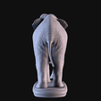 05.png Asian Elephant