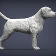 Border-terrier3.jpg Border terrier 3D print model