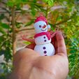 IMG20221120081057.jpg Snowman - Articulated Fidget/Decorative Toys