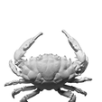 Capture d’écran 2018-09-13 à 17.27.48.png Dark Finger Reef Crab